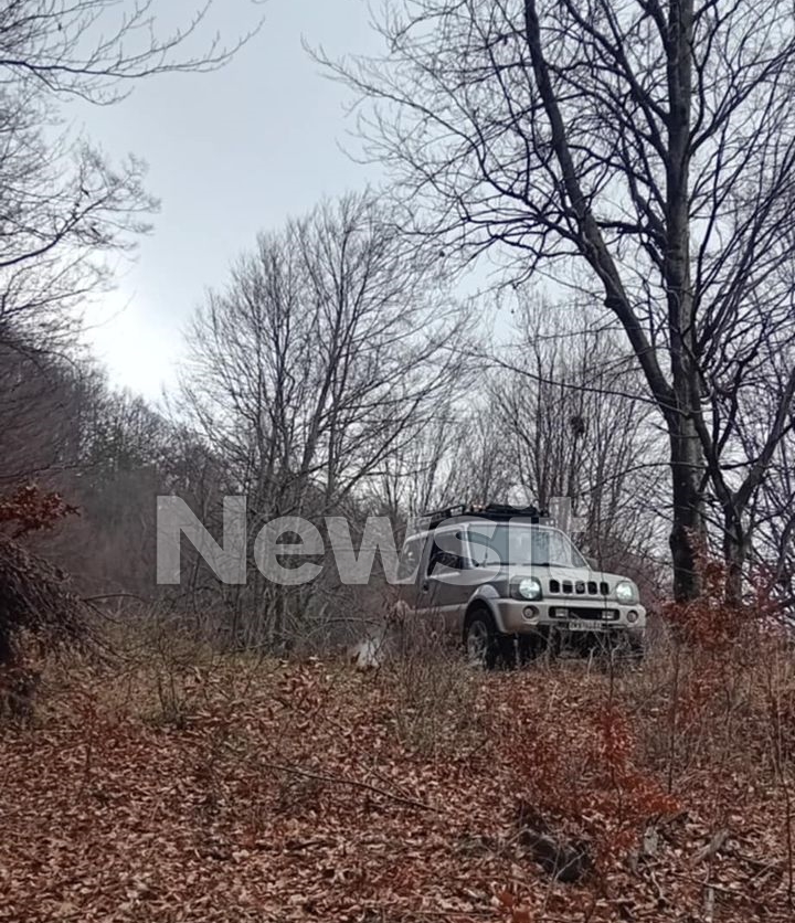 erevnes serres dioikitis