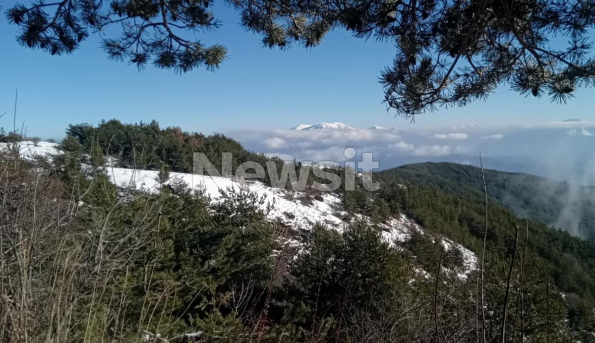 erevnes serres dioikitis