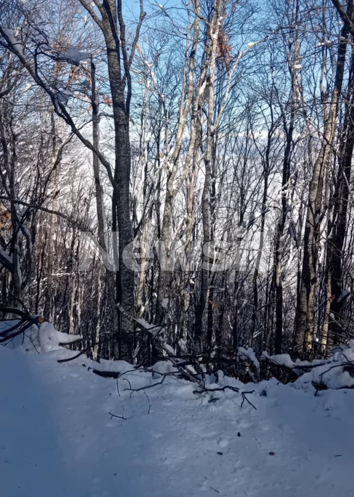 erevnes serres dioikitis