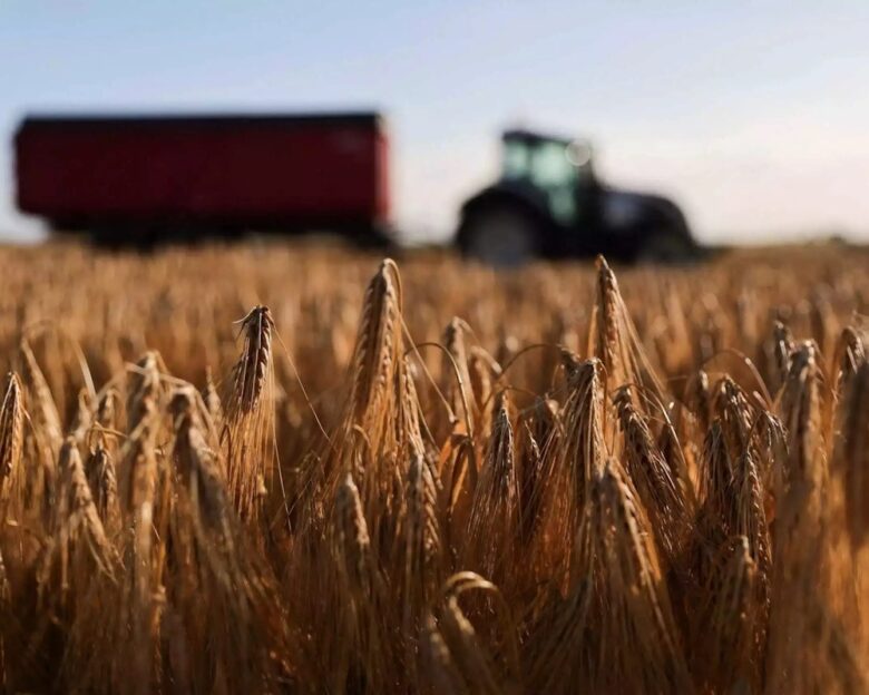 ΟΠΕΚΕΠΕ: Άνοιξε το σύστημα για την Ενιαία Αίτηση Ενίσχυσης 2025