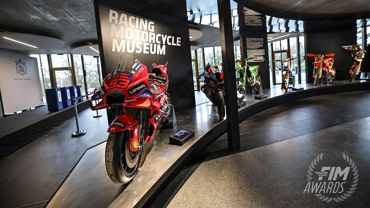 contactphelloe@gmail.com