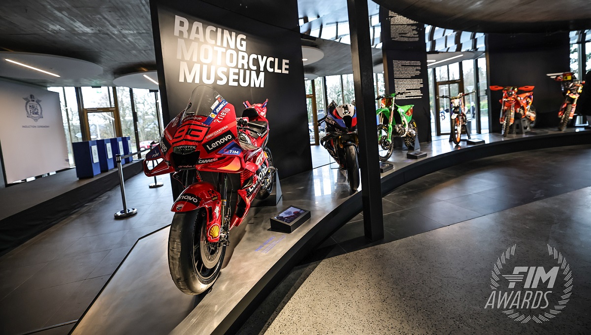 contactphelloe@gmail.com