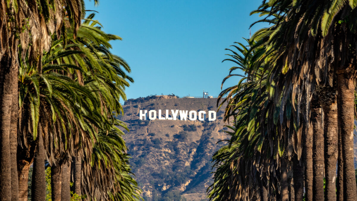 19 october 2018 - Los Angeles, California. USA: Hollywood Sign between Palm trees from central Los Angeles