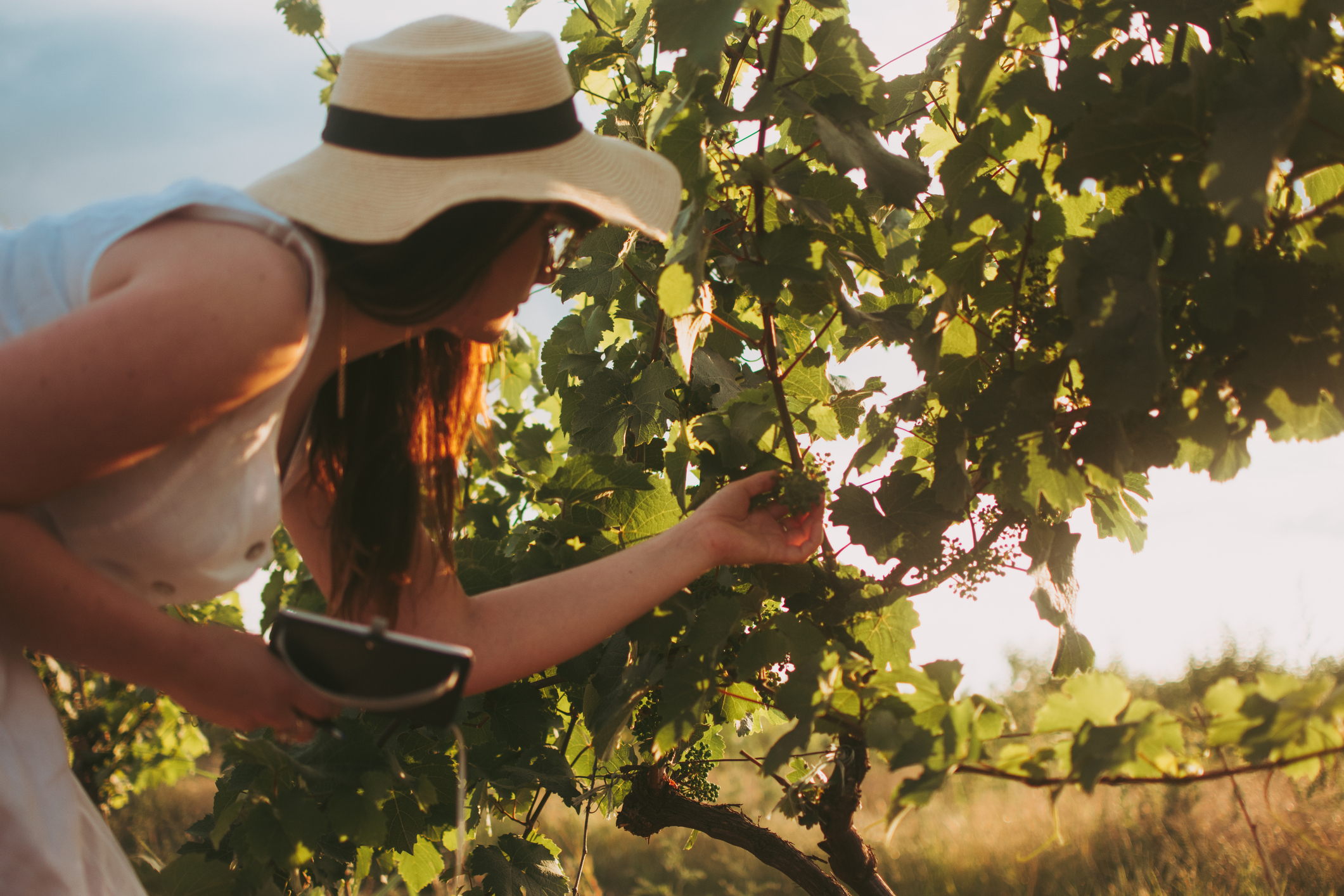 Young woman checking plants in organic farm