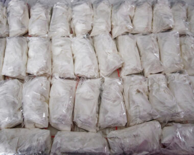 A large number of transparent sachets filled with white powder. White powder packaged in small sachets.