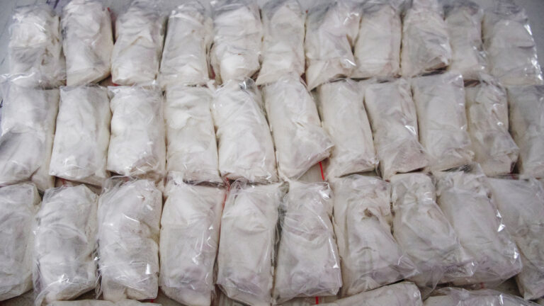 A large number of transparent sachets filled with white powder. White powder packaged in small sachets.