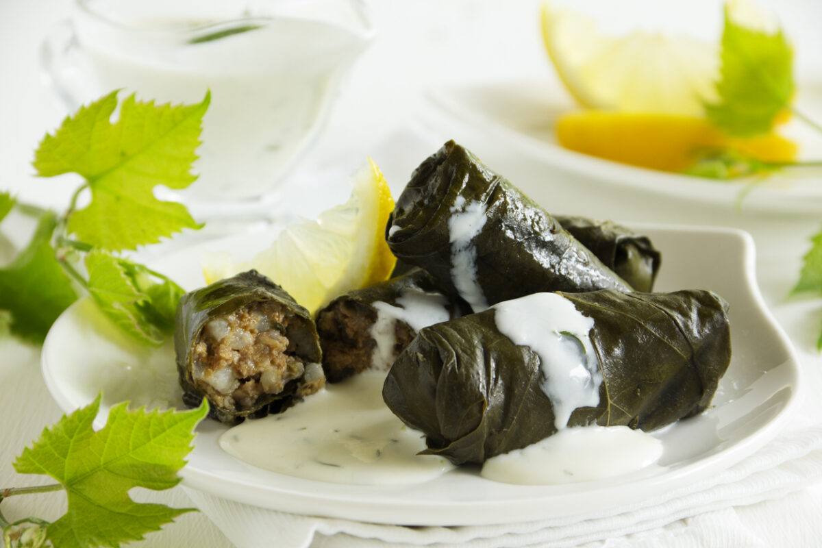 dolma, stuffed grape leaves, turkish and greek cuisine
