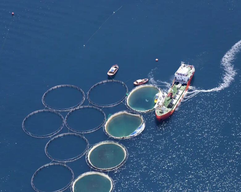 Aerial view of fish farm