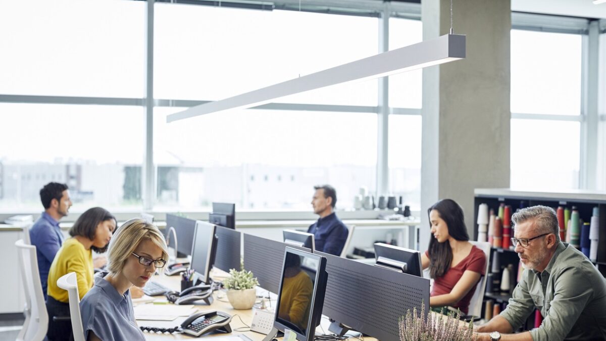 Business people working at desk. Male and female professionals are sitting by windows. Colleagues are sitting in textile industry.