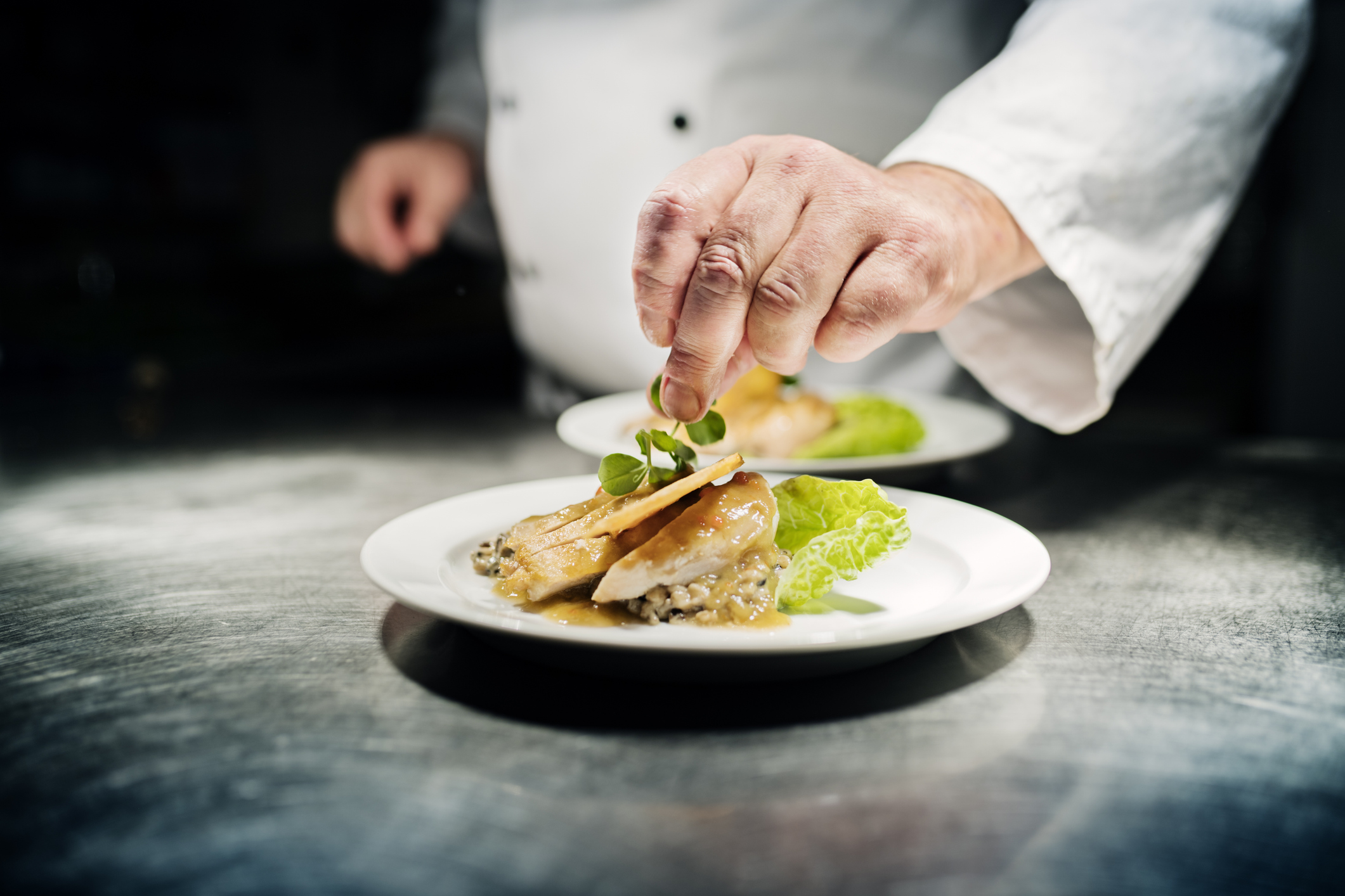 Professional chef putting the final flourish to the dish by adding a sprig of watercress to the dish of slow cooked chicken breast served on a bed of bulgur risotto. Colour, horizontal with some copy space. Photographed in a restaurant on the island of Møn in Denmark
