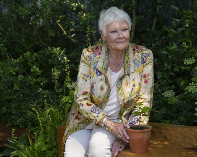 Η Τζούντι Ντενς συγκινεί για την απώλεια όρασης: «Φοβάμαι μην χάσω και το μυαλό μου»