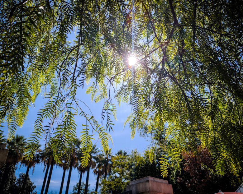 Καιρός σήμερα: Ηλιόλουστος με τοπικές νεφώσεις σε όλη τη χώρα – Αγγίζει τους 20 βαθμούς η θερμοκρασία