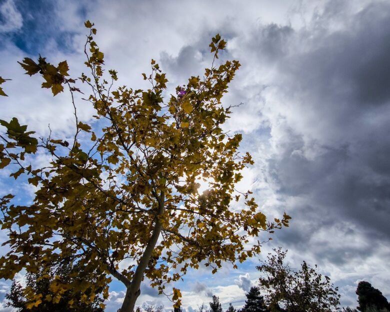 Καιρός αύριο: Άνοδος της θερμοκρασίας σχεδόν σε όλη τη χώρα