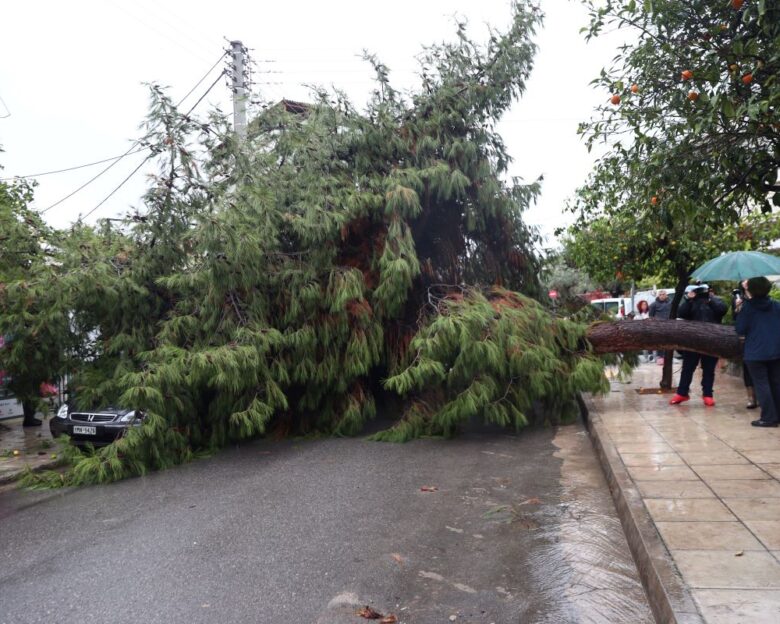 Κακοκαιρία Byron: Δέντρο καταπλάκωσε δύο αυτοκίνητα στο Παλαιό Φάληρο