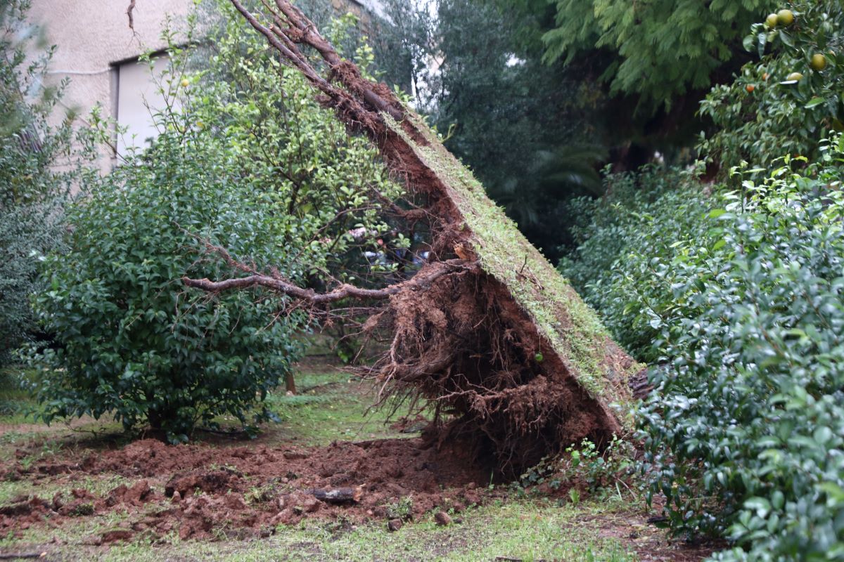 Κακοκαιρία Byron