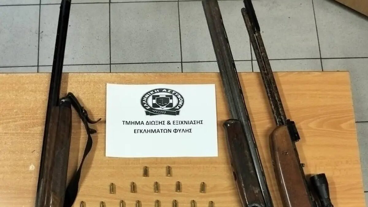 Τα όπλα που βρέθηκαν