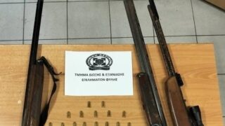 Τα όπλα που βρέθηκαν