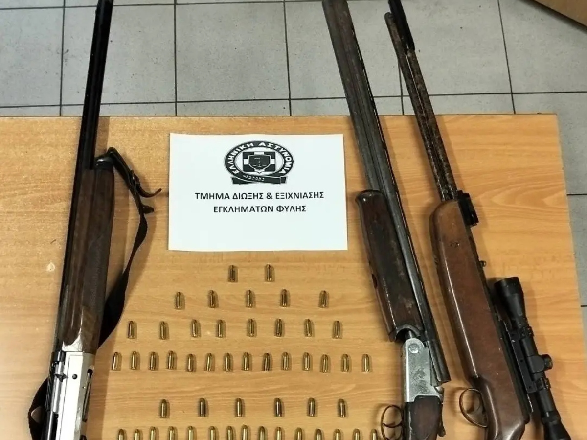 Τα όπλα που βρέθηκαν