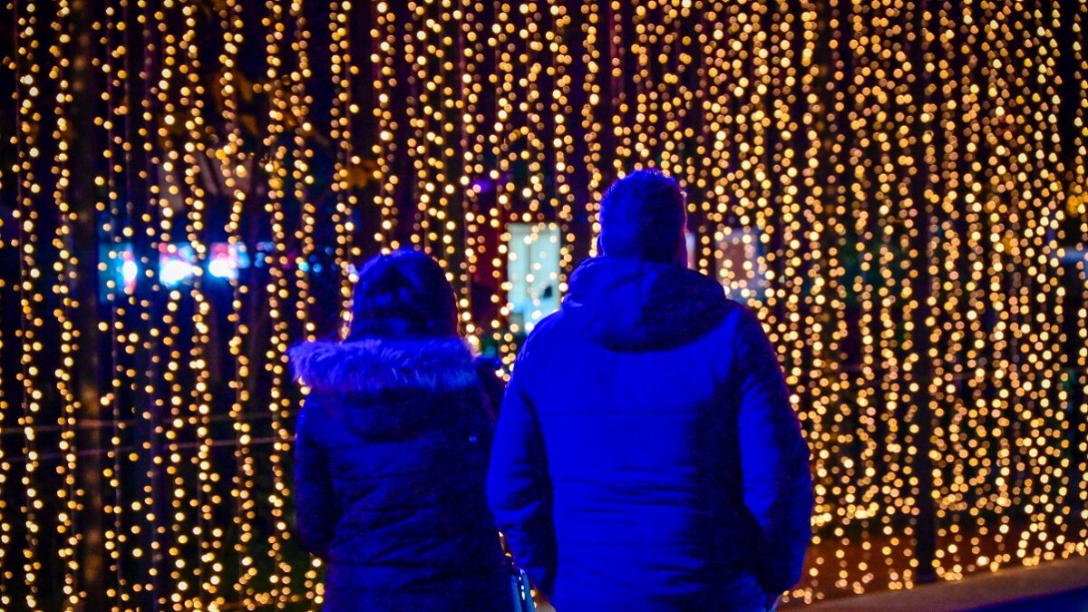 ΜΙΧΑΛΗΣ ΠΑΠΑΝΙΚΟΛΑΟΥ