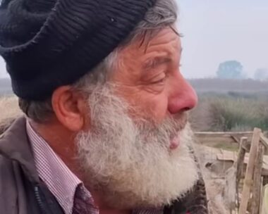 Κτηνοτρόφος