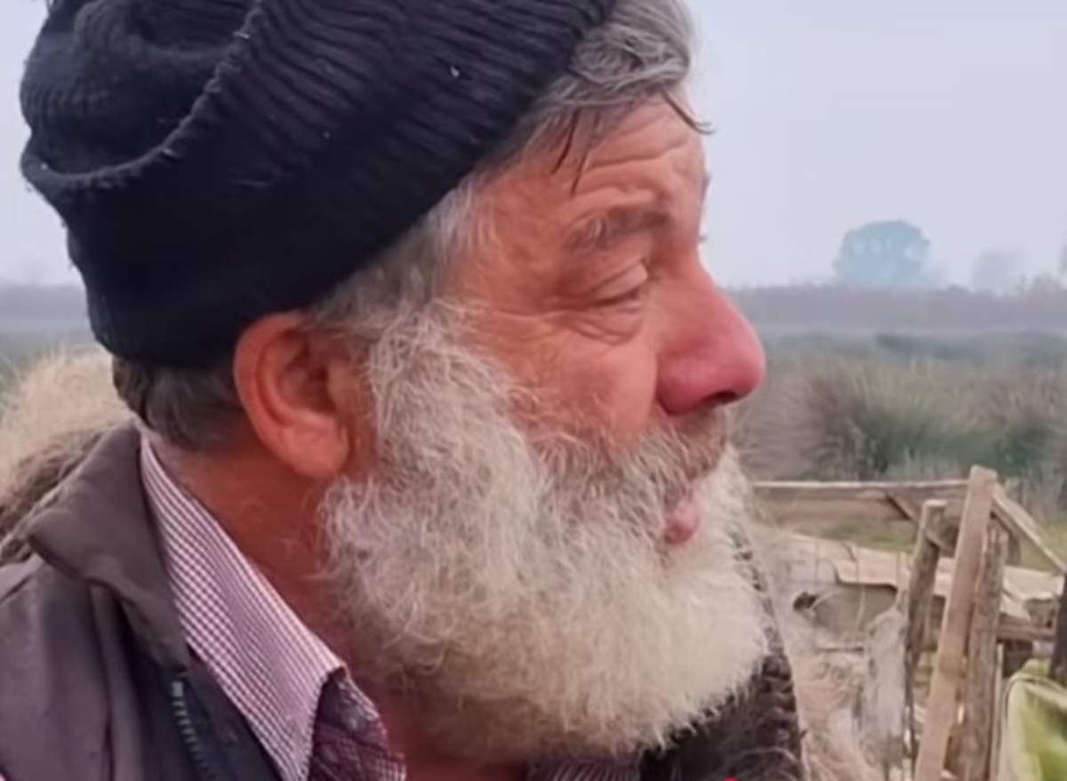 Κτηνοτρόφος