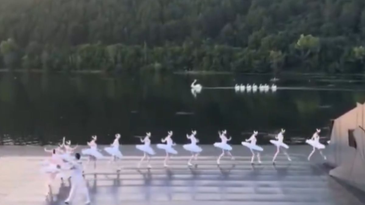 Χορευτές και κύκνοι σε μια μαγική παράσταση σε λίμνη