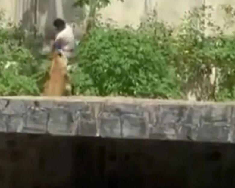 Βραζιλία: Λιοντάρια κατασπάραξαν 19χρονο που μπήκε σε κλουβί ζωολογικού κήπου