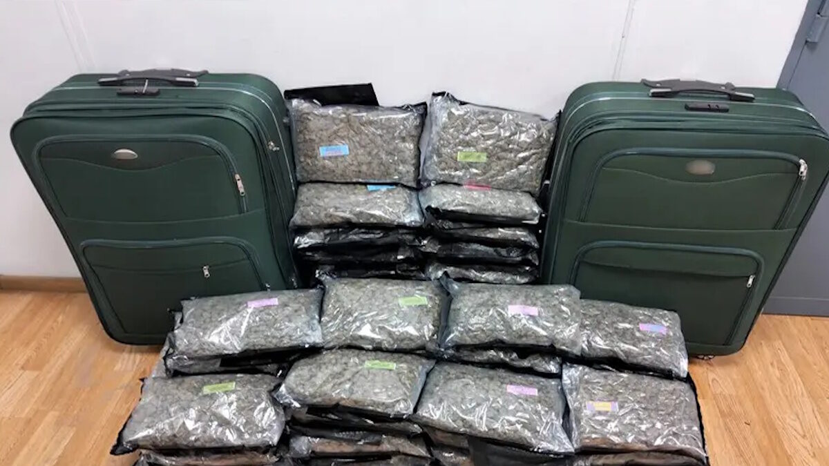 Τα κατεσχεμένα ναρκωτικά