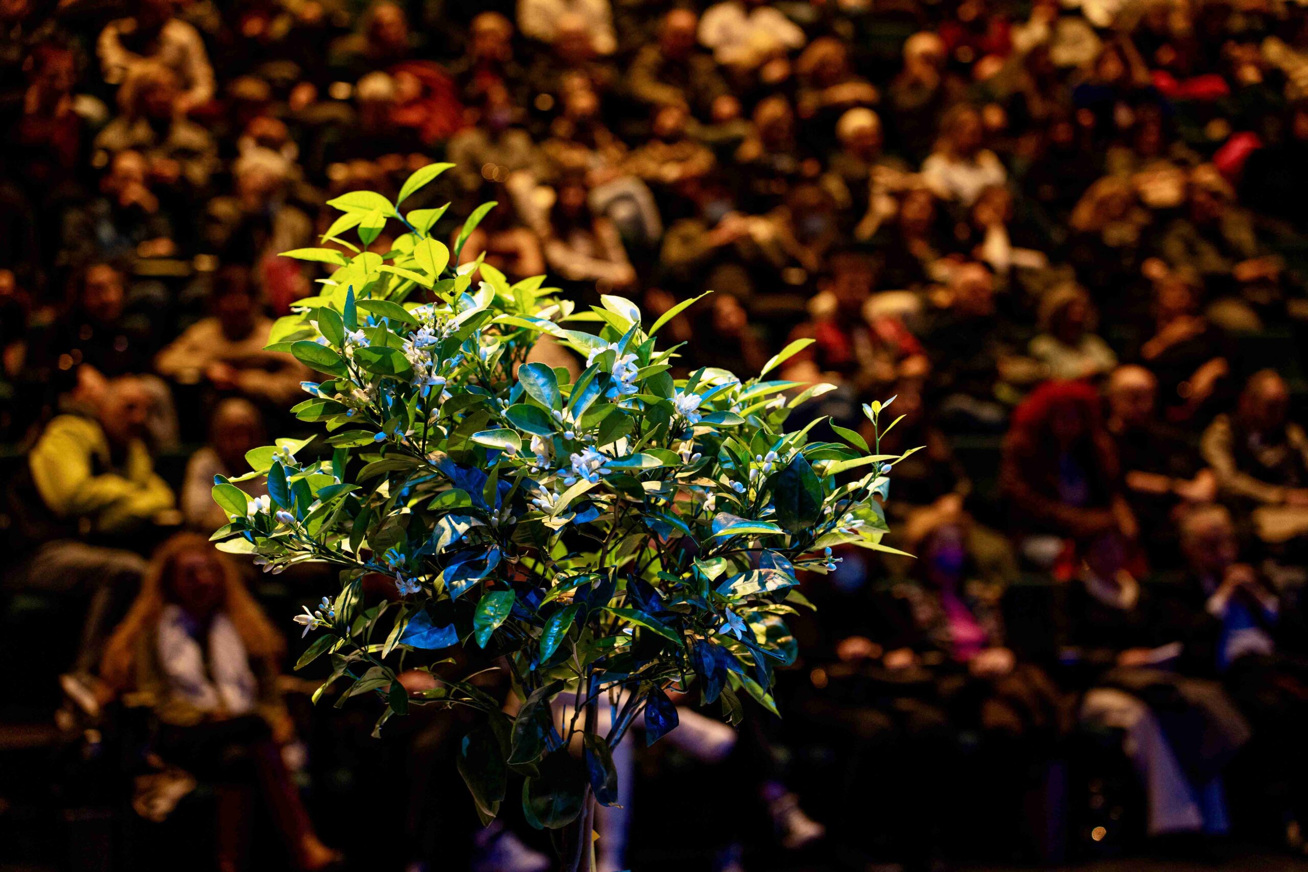 Μηνάς Τσιτσής