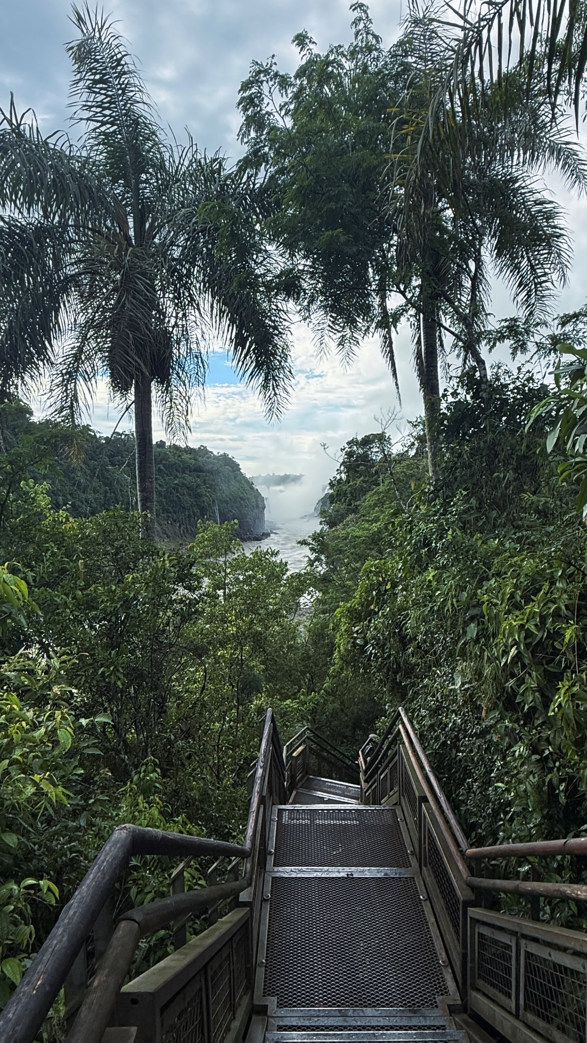 Αθηνά Οικονομάκου