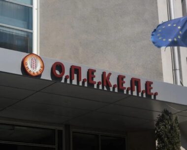 Τα γραφεία του ΟΠΕΚΕΠΕ / EUROKINISSI