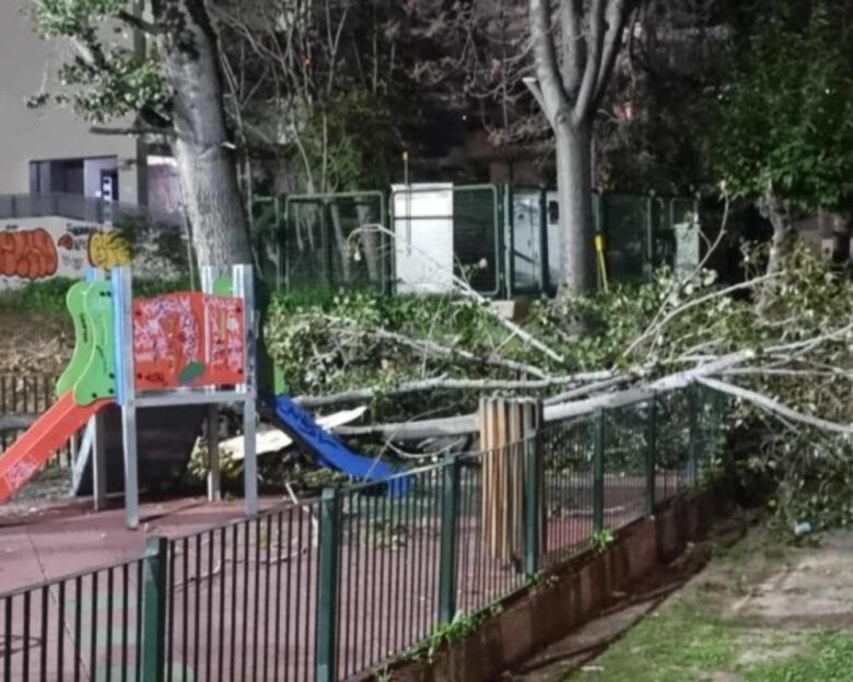 Χαϊδάρι: Δέντρο έπεσε σε παιδική χαρά – Δείτε εικόνες