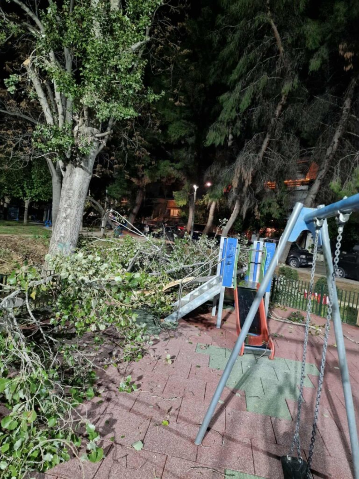 Πεσμένο δέντρο