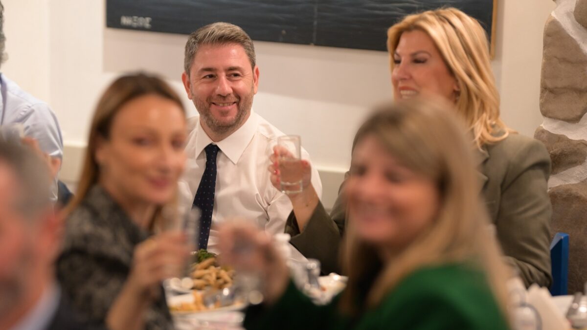 Νίκος Ανδρουλάκης