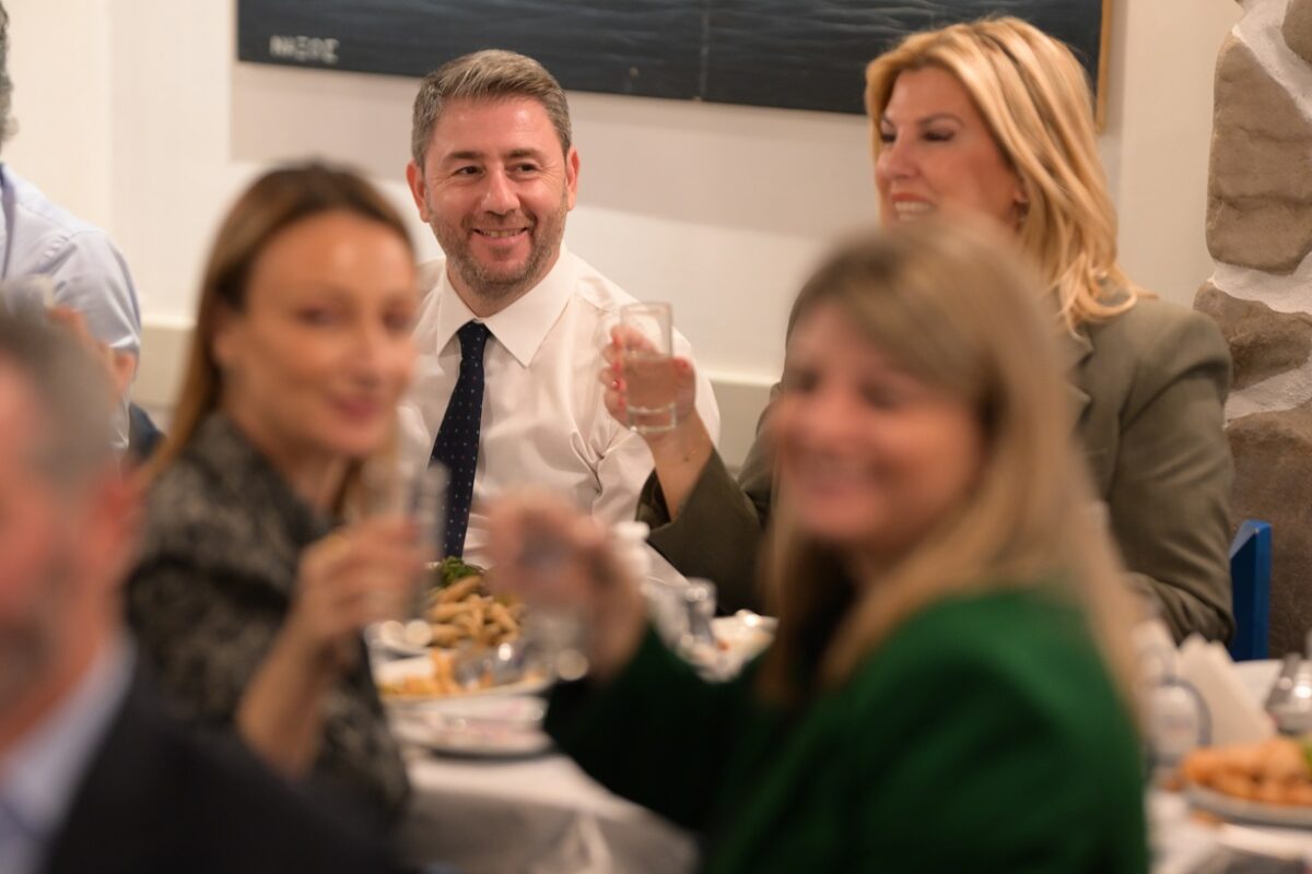 Νίκος Ανδρουλάκης