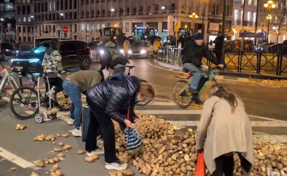 Κάτοικοι μαζεύουν πατάτες από δρόμο των Βρυξελλών