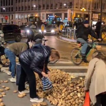 Κάτοικοι μαζεύουν πατάτες από δρόμο των Βρυξελλών