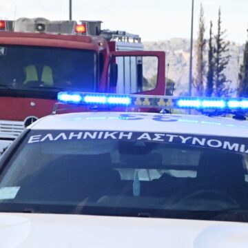 ΦΩΤΟ ΑΡΧΕΙΟΥ ΒΑΣΙΛΗΣ ΠΑΠΑΔΟΠΟΥΛΟΣ