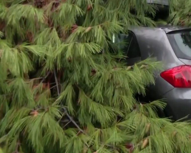 Κακοκαιρία Byron: Δέντρο καταπλάκωσε αυτοκίνητο στο Παλαιό Φάληρο