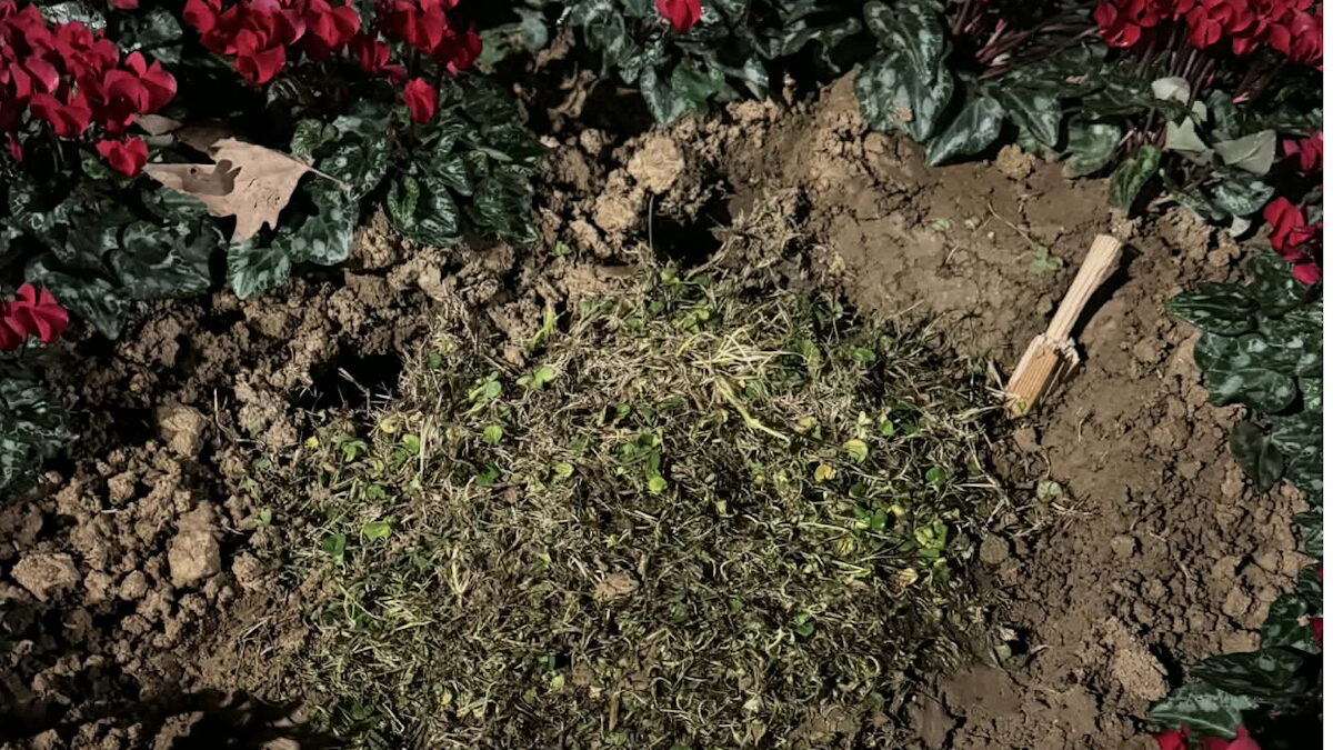 Θεσσαλονίκη πλάκα