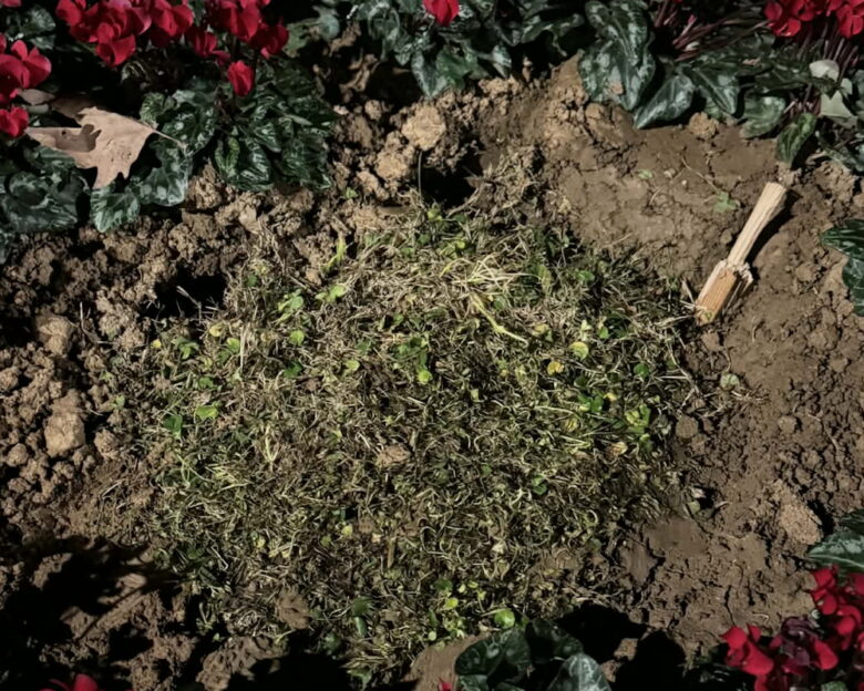 Θεσσαλονίκη: Δράστες ξήλωσαν τη μαρμάρινη πλάκα που είχε τοποθετηθεί στη Νέα Παραλία για τις κακοποιημένες γυναίκες