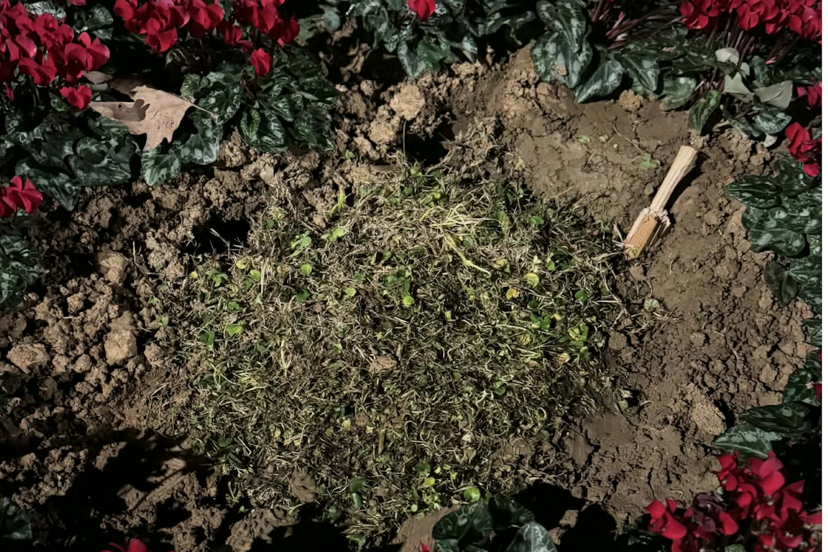 Θεσσαλονίκη πλάκα