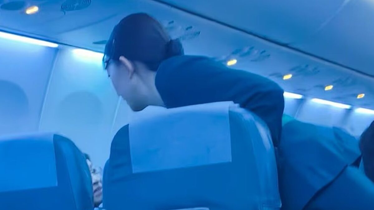 Αεροσυνοδός προσπαθεί να ηρεμήσει τον έξαλλο επιβάτη