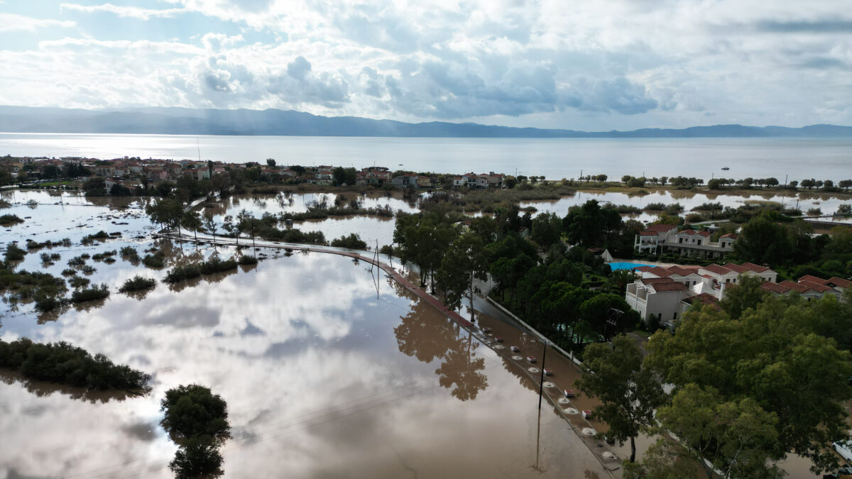 ΦΩΤΟΓΡΑΦΙΑ ΑΡΧΕΙΟΥ ΠΑΝΑΓΙΩΤΗΣ ΜΠΑΛΑΣΚΑΣ