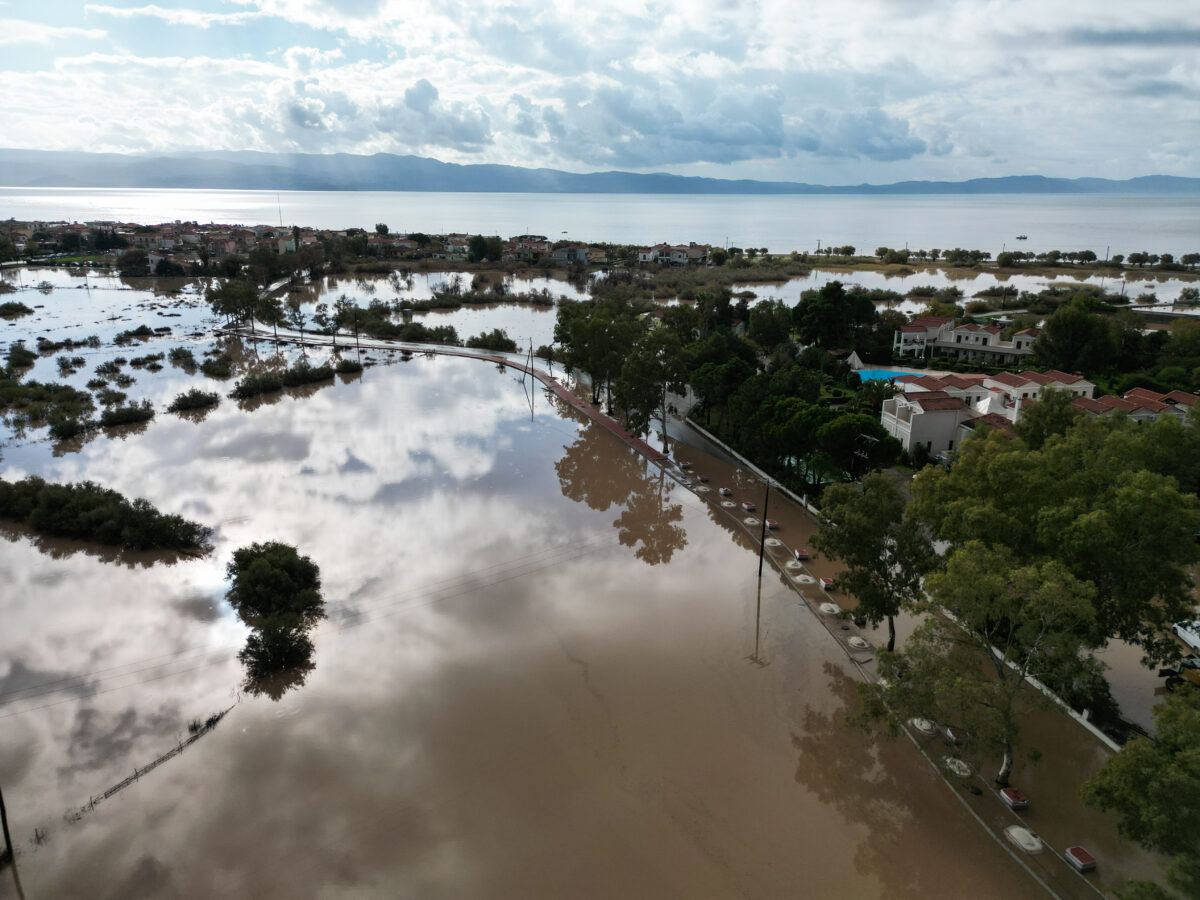 ΦΩΤΟΓΡΑΦΙΑ ΑΡΧΕΙΟΥ ΠΑΝΑΓΙΩΤΗΣ ΜΠΑΛΑΣΚΑΣ