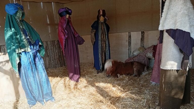 Πόνι μέσα σε φάτνη