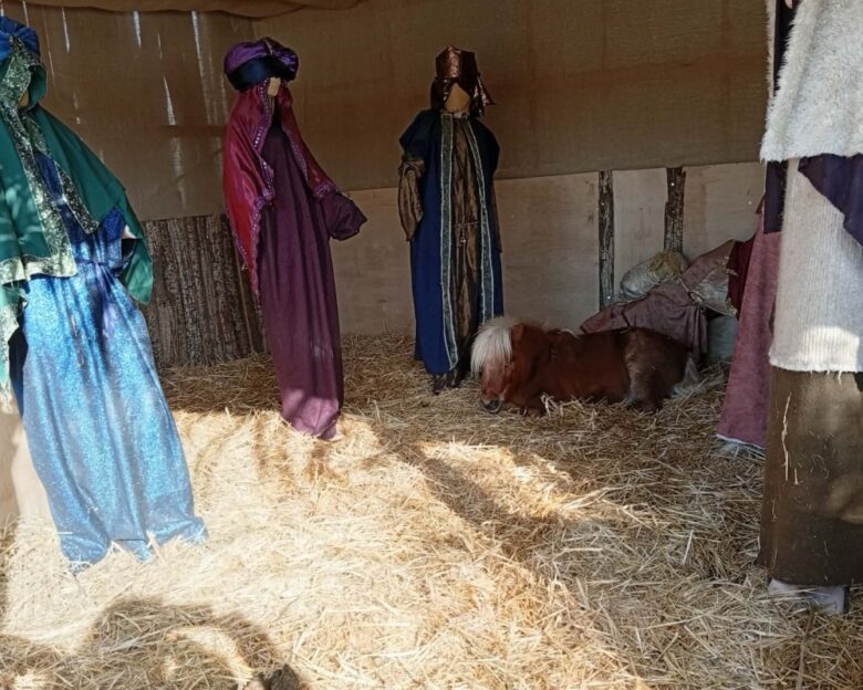 Βόλος: Οι αντιδράσεις για το ζωντανό πόνι μέσα στη φάτνη – Η απάντηση του Αχιλλέα Μπέου