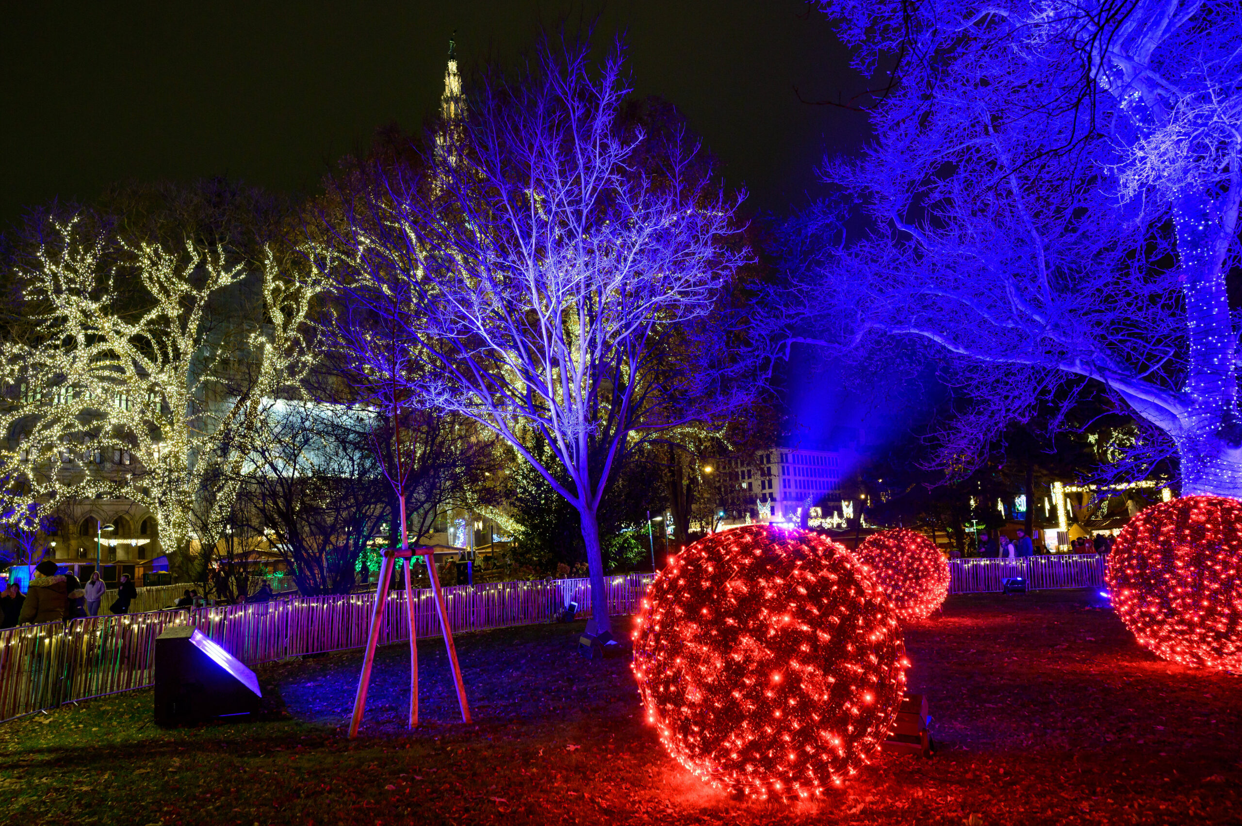 illuminated trees in the park rathauspark advent market rathausplatz in front of the famous city hall