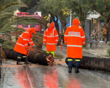 Πεσμένο δέντρο στη Ρόδο