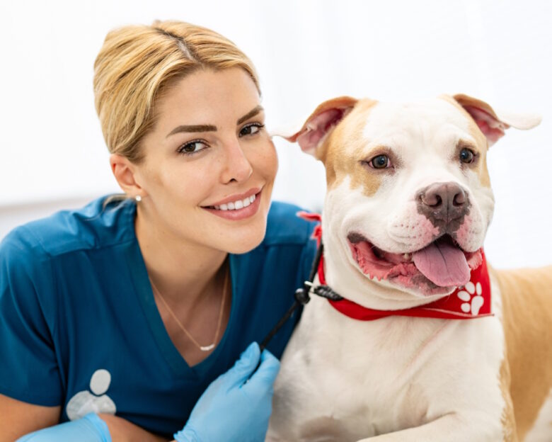 Η Σημασία της Εξατομικευμένης Διατροφής με Βάση το Μέγεθος και τη Φυλή του Σκύλου